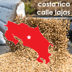 Costa Rica Calle Lajas (Light Roast) - 12 oz. Pouch