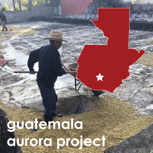 Guatemala Aurora Project (Medium Roast) 12 oz. Pouch