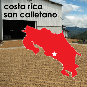 Costa Rica San Calletano (Light Roast) - 12 oz. Pouch