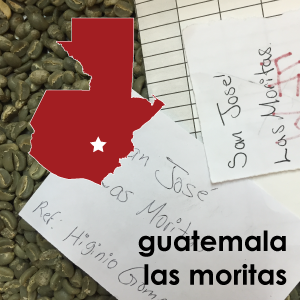 Guatemala Las Moritas (Light Roast) - 12 oz. Pouch