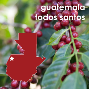 Guatemala Todos Santos (Medium Roast) 12 oz. Pouch