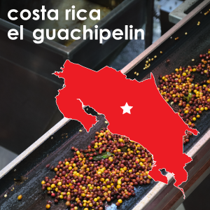 Costa Rica el Guachipelin (Light Roast) - 12 oz. Pouch