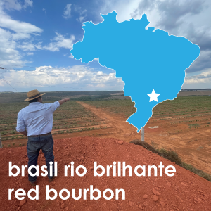 Brasil Rio Brilhante Red Bourbon (Light Roast) - 12 oz. Pouch