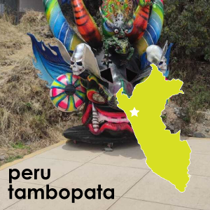 Peru Tambopata (Medium Roast) - 12 oz. Pouch