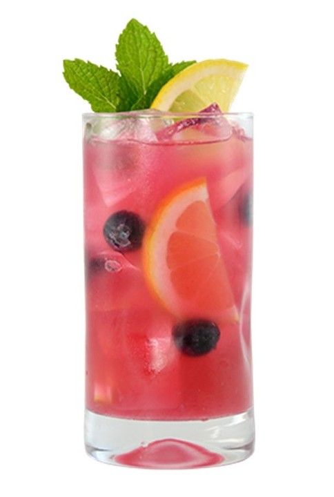 Blueberry Iced Tea