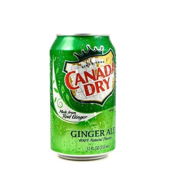 12oz Ginger Ale Can