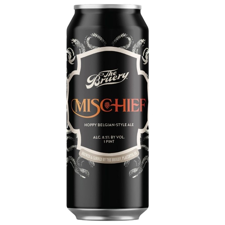 TG  Bruery Mischief