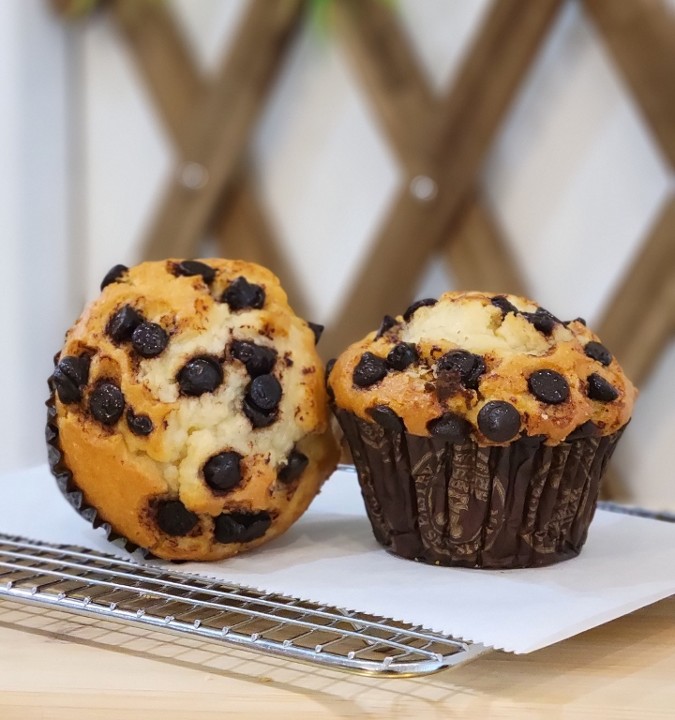 Chocolate chip Muffin