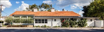 Tiny Boxwoods - Austin Tiny Boxwoods Austin