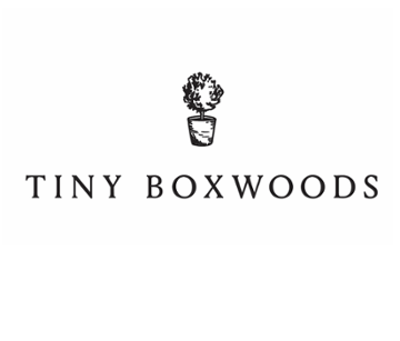 Tiny Boxwoods - Houston