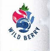 4 Pack Wild Berry Vodka Whip