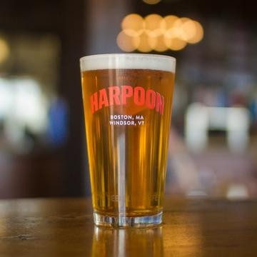 Glass - Shaker Pint Harpoon