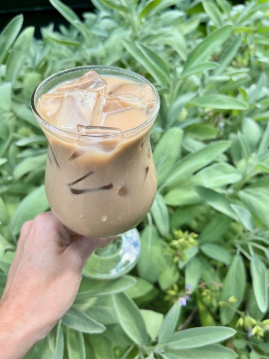 Iced Blueberry Sage Latte