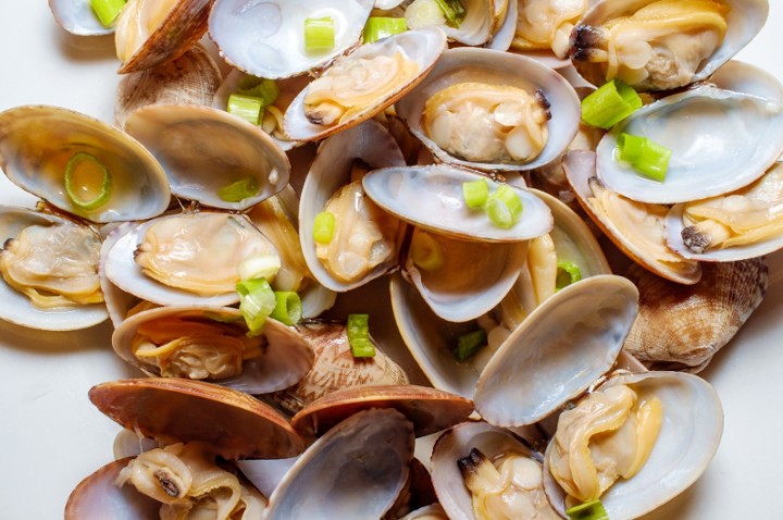 Clams