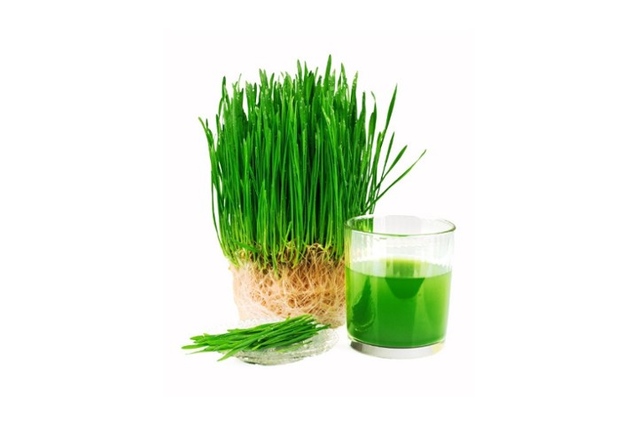 WHEATGRASS SHOT