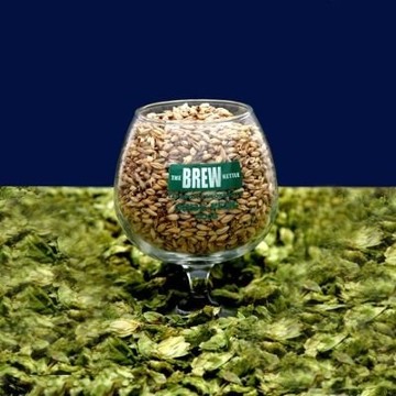 The Brew Kettle