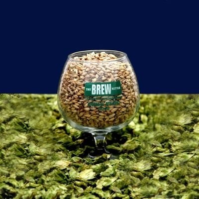 The Brew Kettle Strongsville
