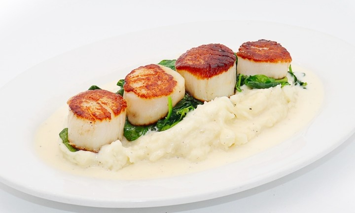 Scallops