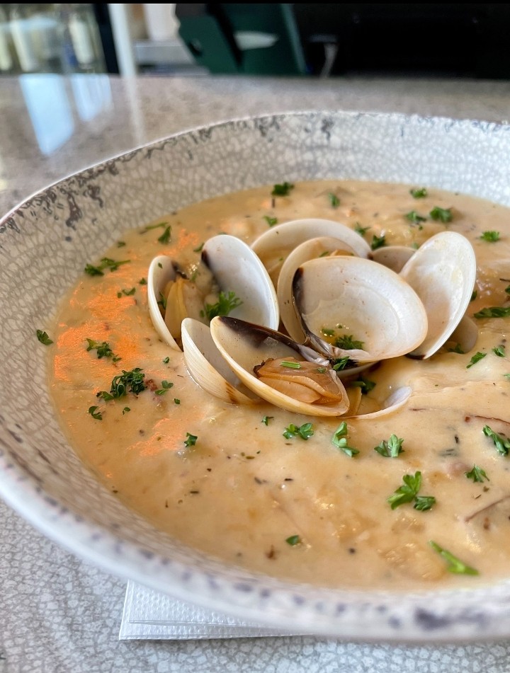 Cup Of Clam Chowder