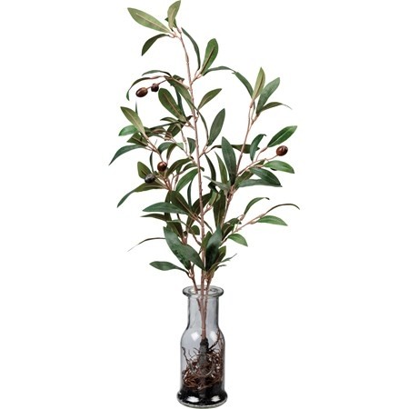 Vase-Olive Branches