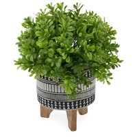 Jade Plant Black & White Pot Legged Stand