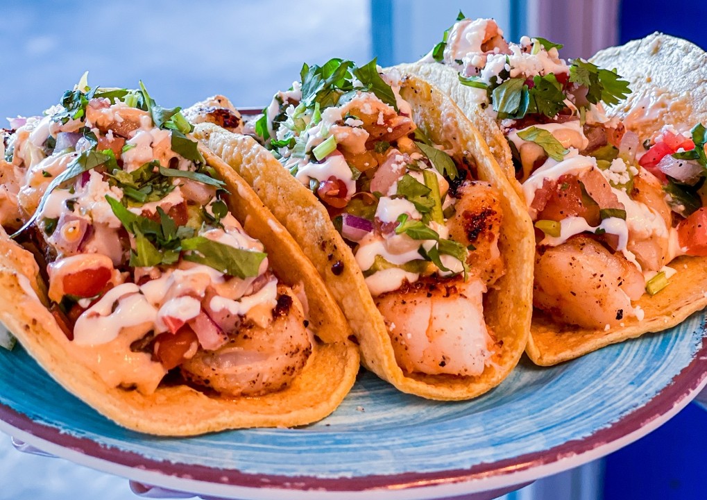 CABO STYLE GRILLED SHRIMP TACO