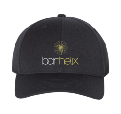 bar helix logo curved bill baseball hat