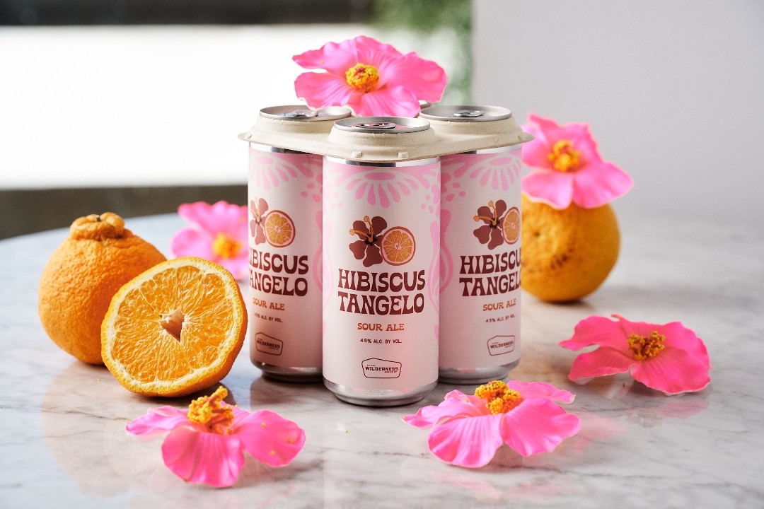 Hibiscus Tangelo Gose 4pk (16oz)