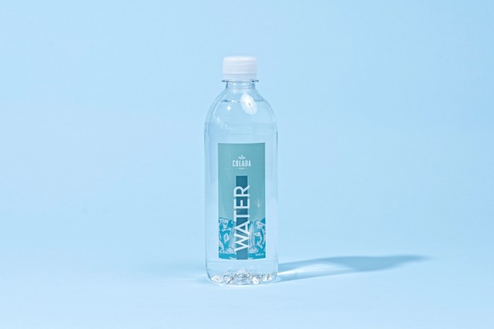 SPRING WATER (16.9OZ)