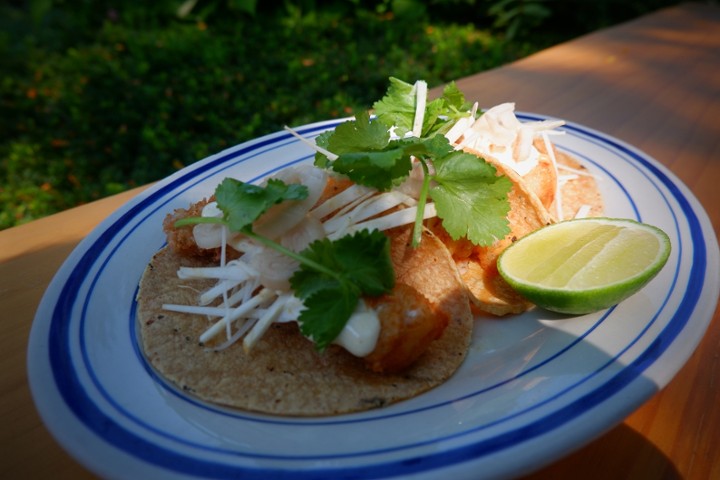 Wild Fish Taco