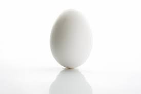 Egg - 1