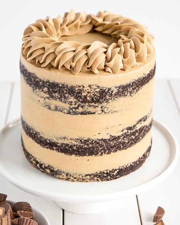 Chocolate peanut butter cake