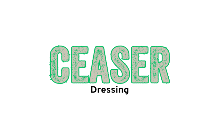 Extra side Ceaser Dressing