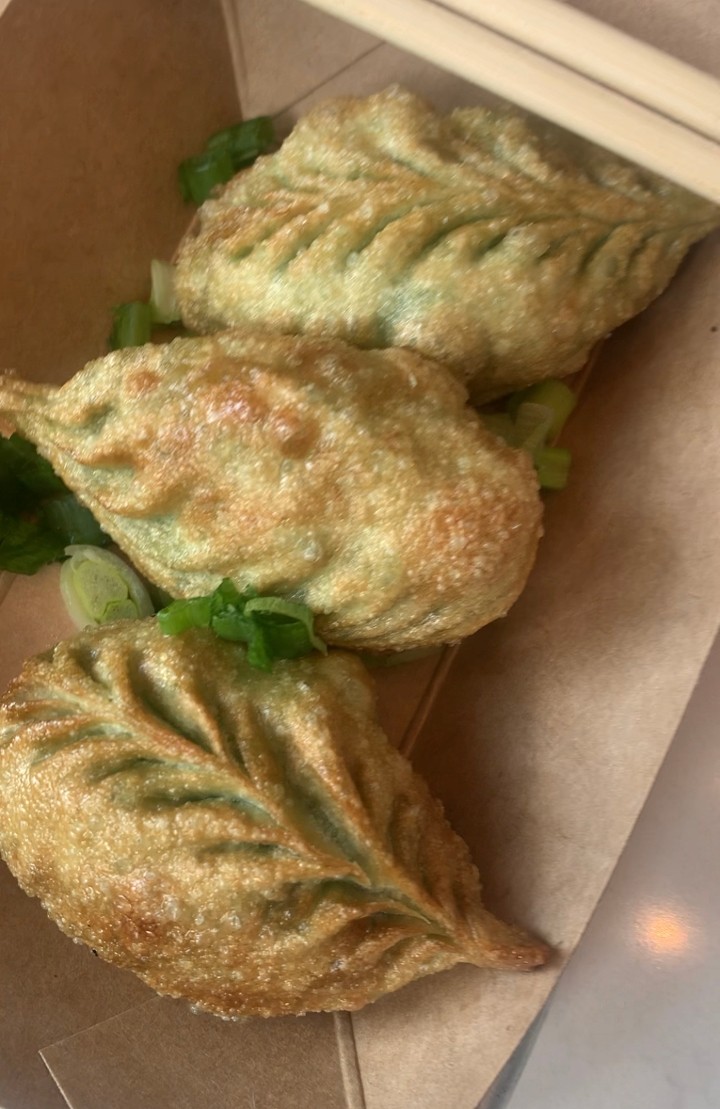 Crispy Vegetable Dumplings