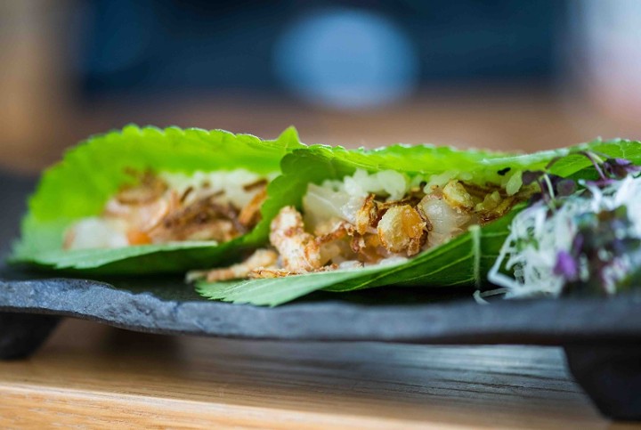 Scallop Leaf Taco