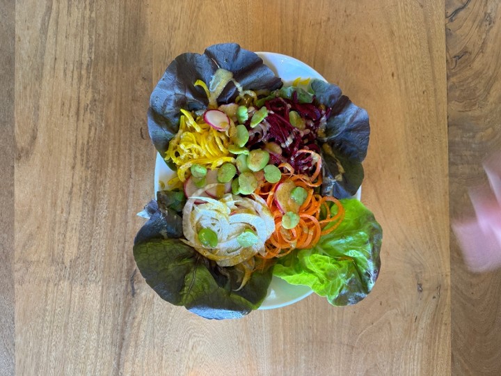 SPRING SALAD (small)