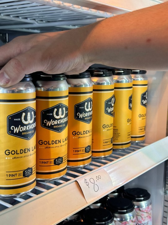 Golden Lager 16oz Cans - Full Case