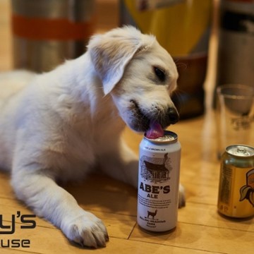 Finley's Tap House