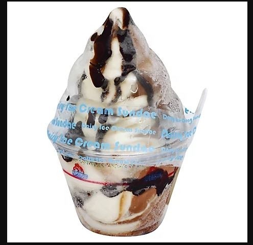Vanilla - Chocolate Ice Cream Cup 9.5oz (Pareve)