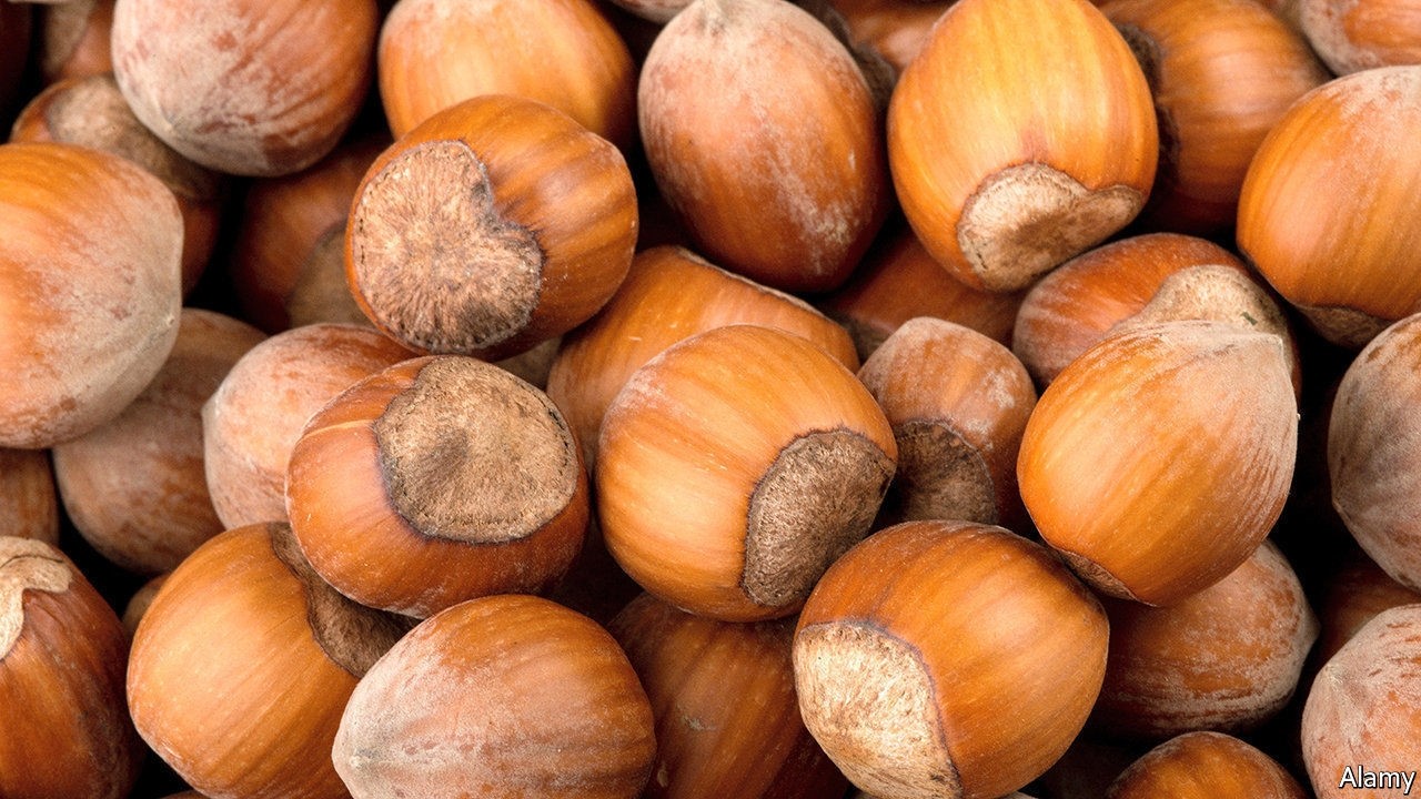 Hazelnuts 8 oz