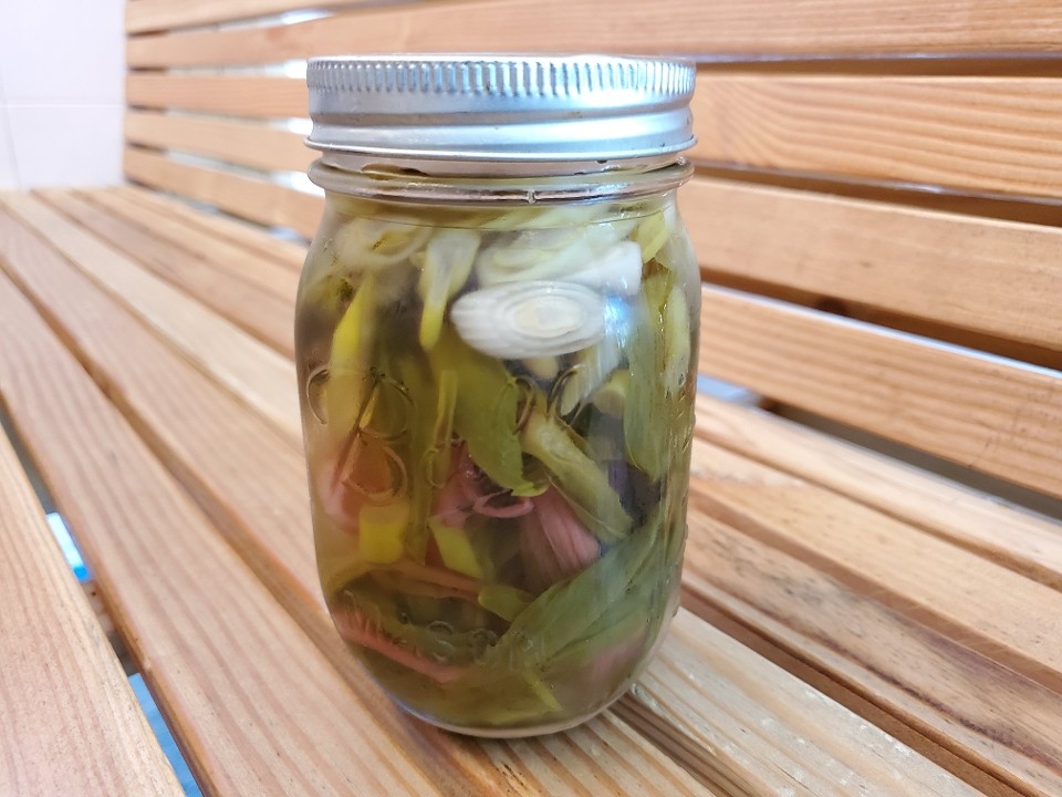 Pickled Allium Mix 16 oz jar