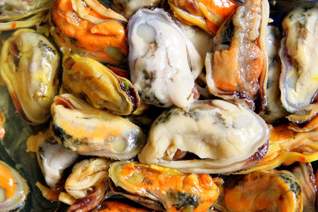 Mussel Escabeche (Can)