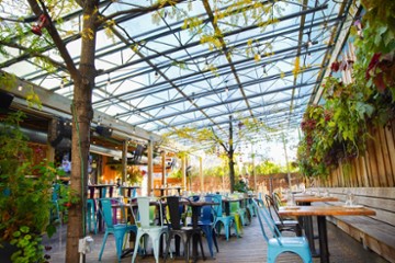 Juno Mexican Grill