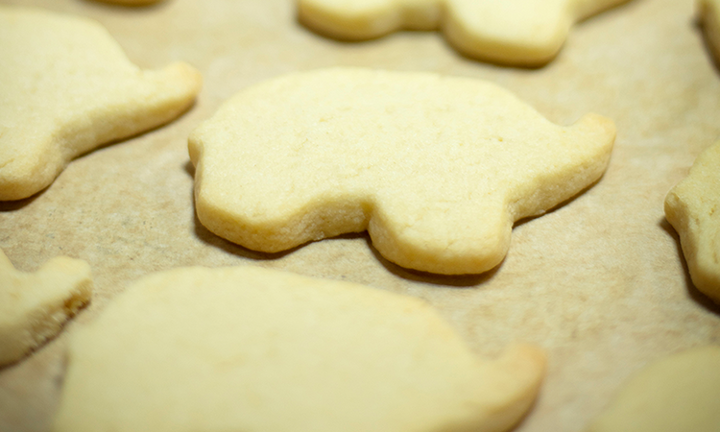 Plain Elephant Shortbread Cookie
