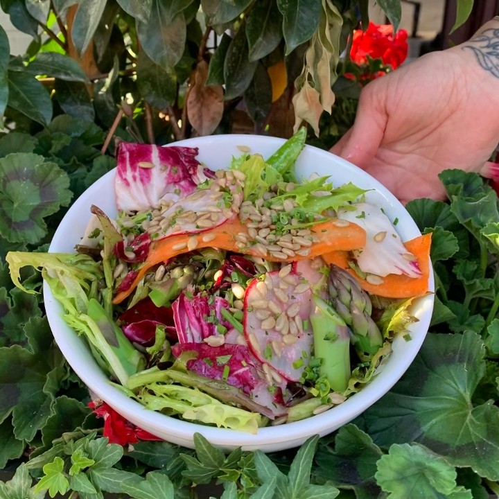 Spring Salad