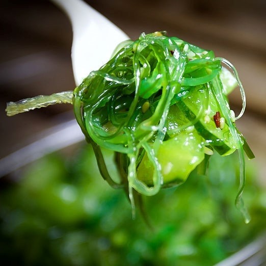 Seaweed Salad