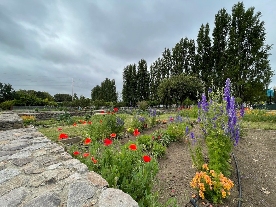 Napa Yard Oxbow Gardens