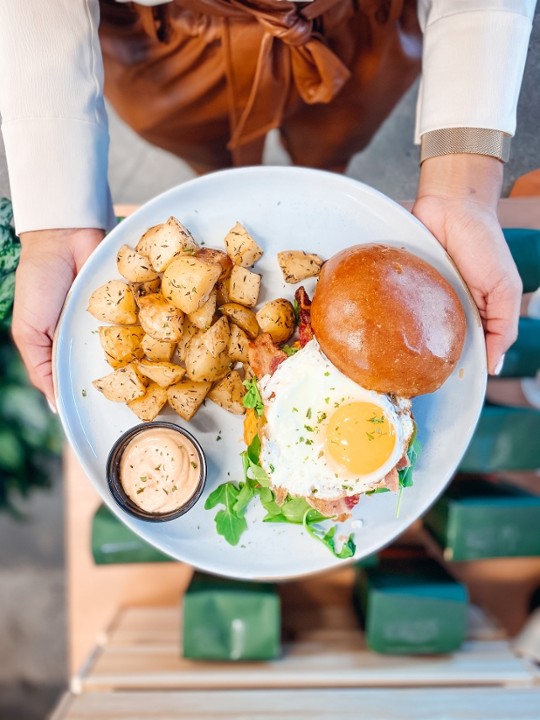 Bacon & Fried Egg Sandwich