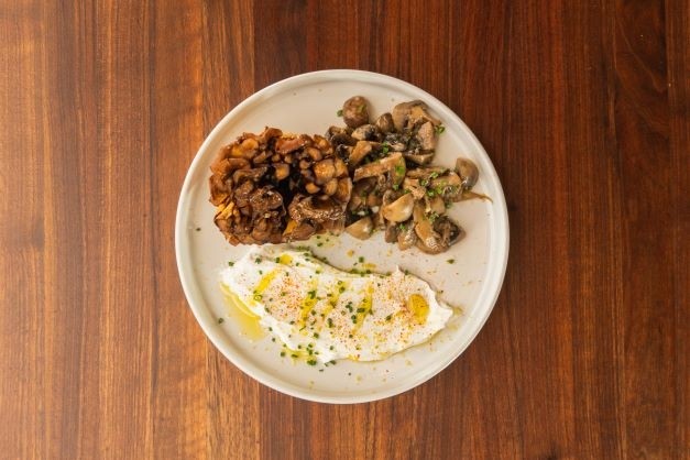 Maitake Mushroom
