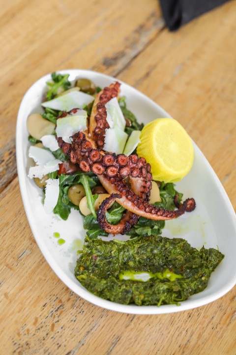 Mediterranean Octopus